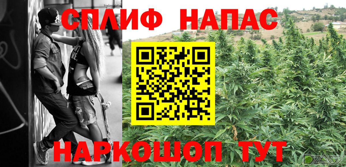 Бошки Шишки план Лосино-Петровский